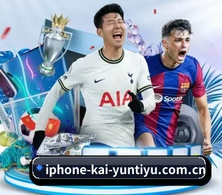 五大服务分区,信息按项目分类 | kaiyun