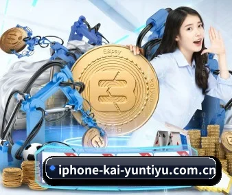 国际化进程（kaiyun）